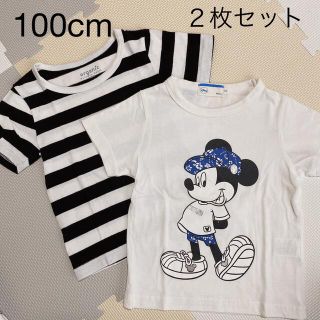 シマムラ(しまむら)の専用ページ(Tシャツ/カットソー)