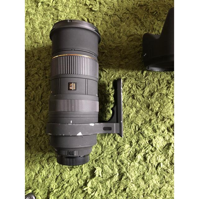 シグマ SIGMA 50-500mm F4-6.3D ニコン用 スマホ/家電/カメラのカメラ(レンズ(ズーム))の商品写真