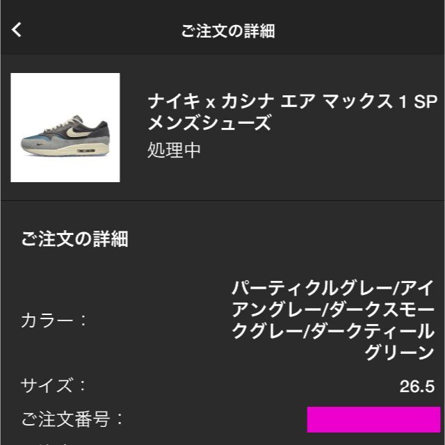 NIKE(ナイキ)のKasina x Nike Air Max 1 SP Won-Ang Grey メンズの靴/シューズ(スニーカー)の商品写真