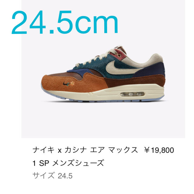 NIKE カシナ　エアマックス1SP