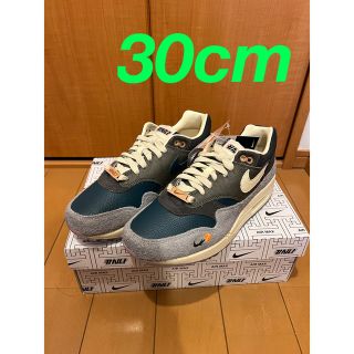 ナイキ(NIKE)のKasina × Nike Air Max 1 "Won-Ang/Grey"(スニーカー)