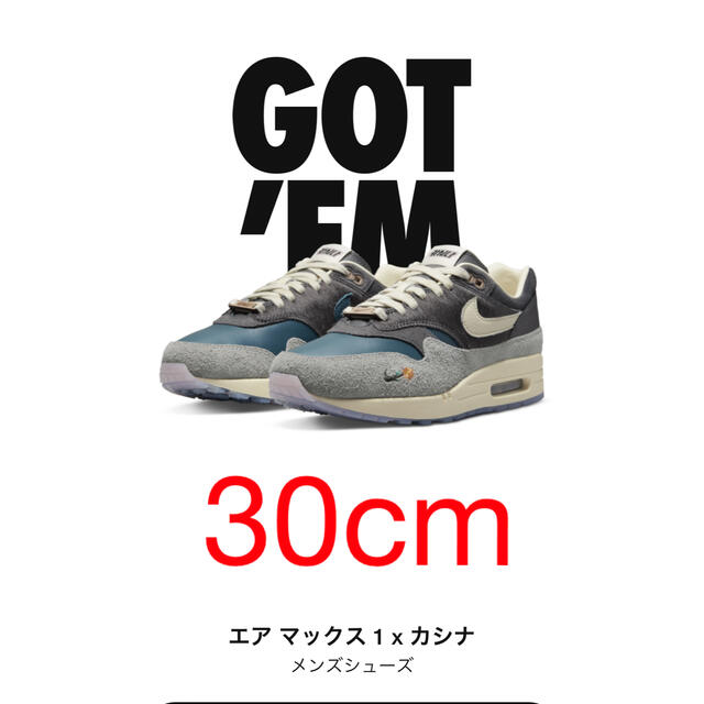 NIKE(ナイキ)のKasina Nike Air Max 1 カシナ ナイキ エアマックス  メンズの靴/シューズ(スニーカー)の商品写真