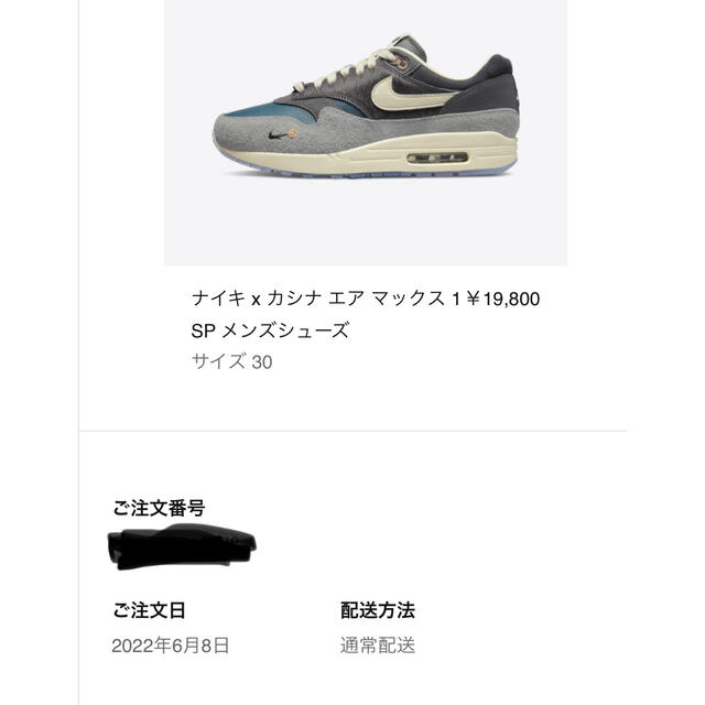 NIKE(ナイキ)のKasina Nike Air Max 1 カシナ ナイキ エアマックス  メンズの靴/シューズ(スニーカー)の商品写真