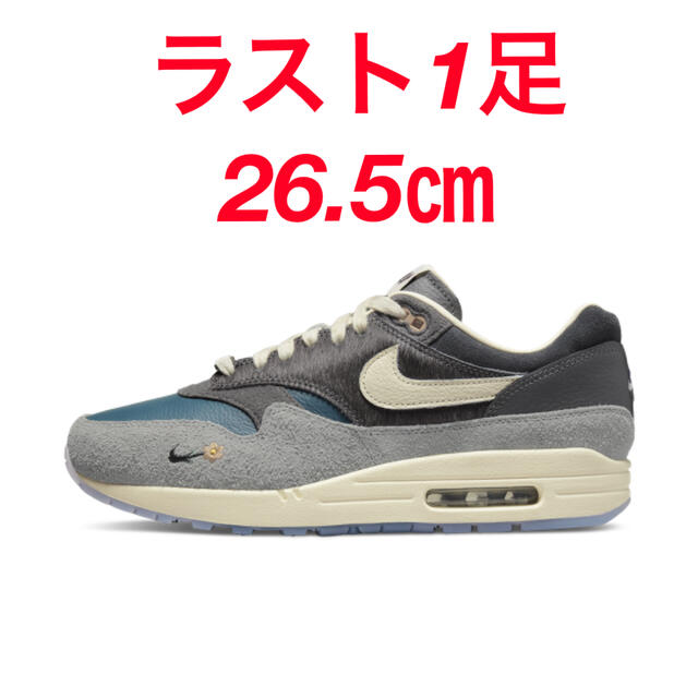 Kasina × Nike Air Max 1カシナ × ナイキ エアマックススニーカー