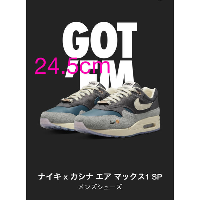 NIKE(ナイキ)のKasina × Nike Air Max 1 "Won-Ang/Grey" メンズの靴/シューズ(スニーカー)の商品写真