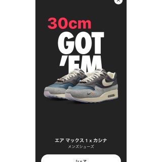 ナイキ(NIKE)のKasina × Nike Air Max 1 "Won-Ang/Grey"(スニーカー)