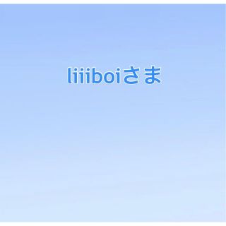 liiiboiさま(各種パーツ)