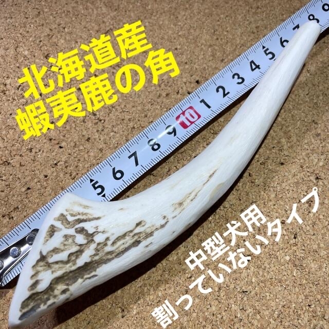 鹿の角　犬のおもちゃ　北海道産　　　　　　　中型犬用　角先割っていないタイプ1本 その他のペット用品(犬)の商品写真