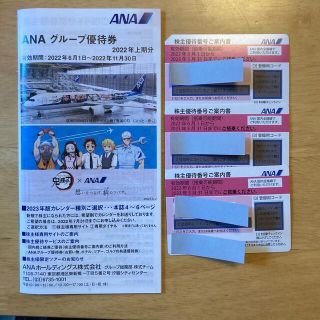 エーエヌエー(ゼンニッポンクウユ)(ANA(全日本空輸))のANA 株主優待　割引券　グループ優待券(その他)