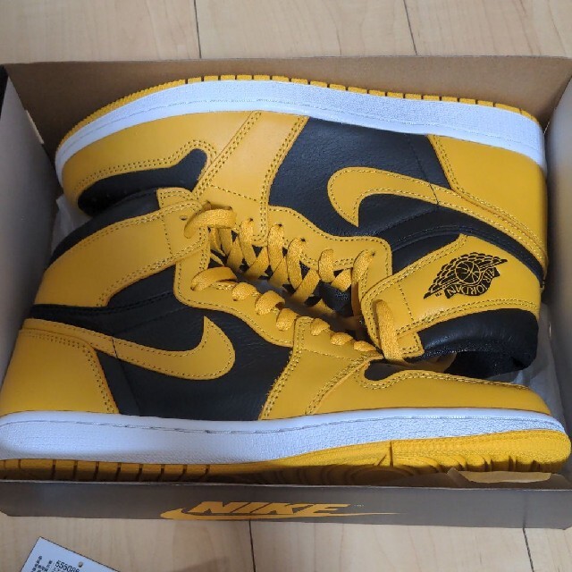 メンズNIKE AIR JORDAN 1 POLLEN　US9