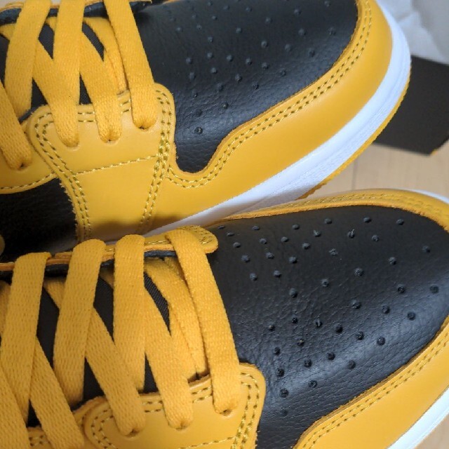 メンズNIKE AIR JORDAN 1 POLLEN　US9