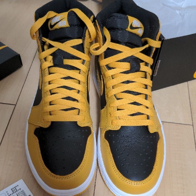 メンズNIKE AIR JORDAN 1 POLLEN　US9