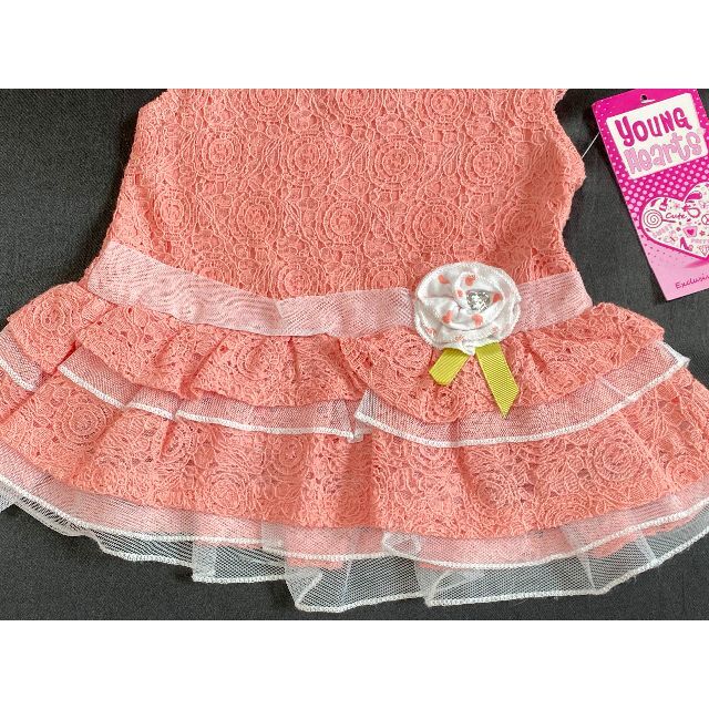 90新品タグ付きyoungheartsレースワンピースドレスチュニック24M2歳 キッズ/ベビー/マタニティのキッズ服女の子用(90cm~)(ワンピース)の商品写真