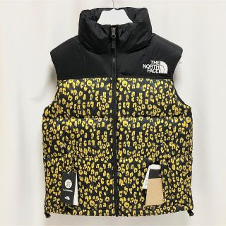 ザノースフェイス(THE NORTH FACE)のノースフェイス ダウン ベスト レオパード柄 豹柄 ブレイブ ヌプシ Nupts(ダウンベスト)