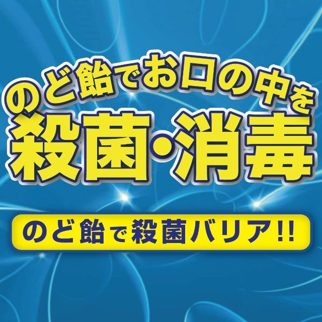 ★【6個セット】プロテクトドロップ レモン風味 24錠★ 食品/飲料/酒の食品(菓子/デザート)の商品写真