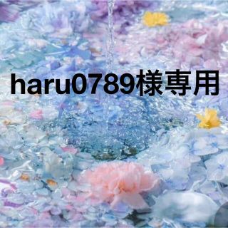 ♡haru0789様専用♡(プランター)