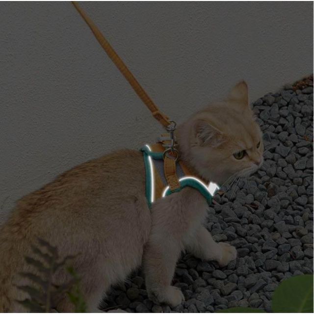 猫用ハーネス 猫に優しいハーネス・リード付き　軽量　夜反射　簡単装着　オレンジL その他のペット用品(猫)の商品写真
