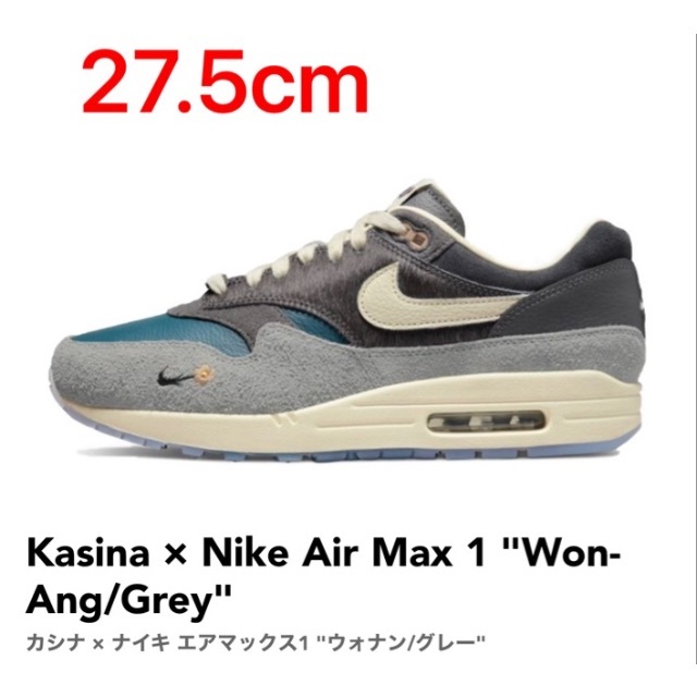 Kasina × Nike Air Max 1 "Won-Ang/Grey"