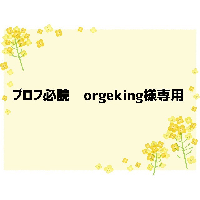 プロフ必読 oregeking様専用ページ　ありがとうございました。 レディースの下着/アンダーウェア(ブラ)の商品写真