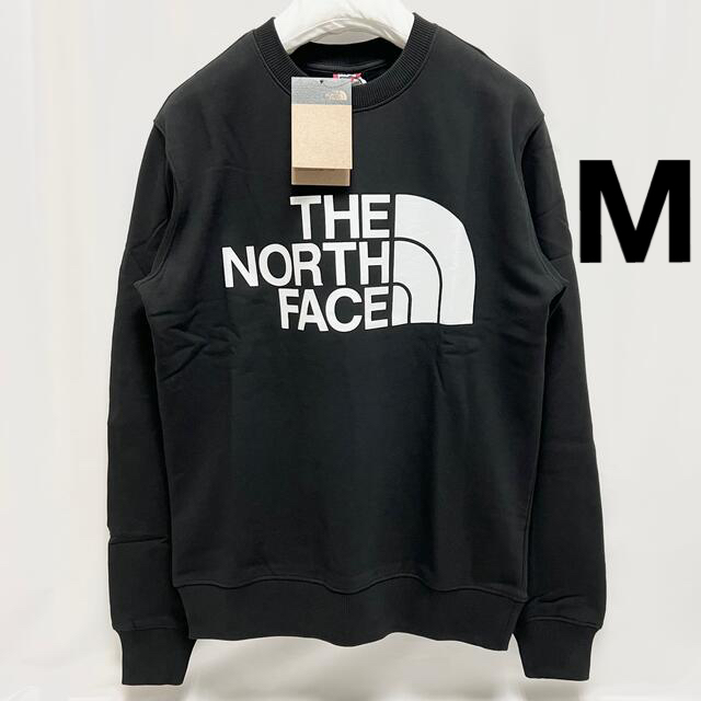 THE NORTH FACE - 日本未発売 ノースフェイス ビッグロゴ スウェット ...