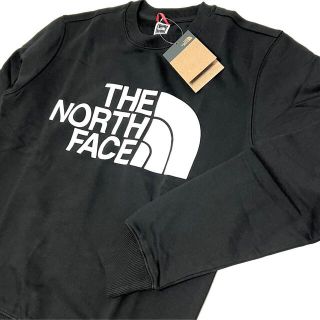 THE NORTH FACE - 日本未発売 ノースフェイス ビッグロゴ スウェット