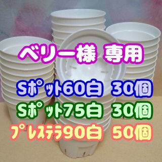 プラ鉢 《Ｓポット丸型60＆75》 白 各30個他 プレステラ 多肉植物 プラ鉢(プランター)