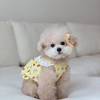 犬服　ペット服　ドッグウェア　可愛い　オシャレ　犬用品　ワンピース　トップス(犬)