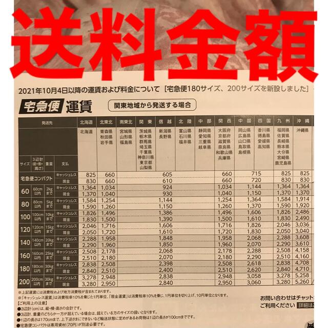 当時物　ネオン棒　バニング　おどりん棒 ネオン管 昭和 レトロ 蛍ランプ 旧車 自動車/バイクの自動車(汎用パーツ)の商品写真