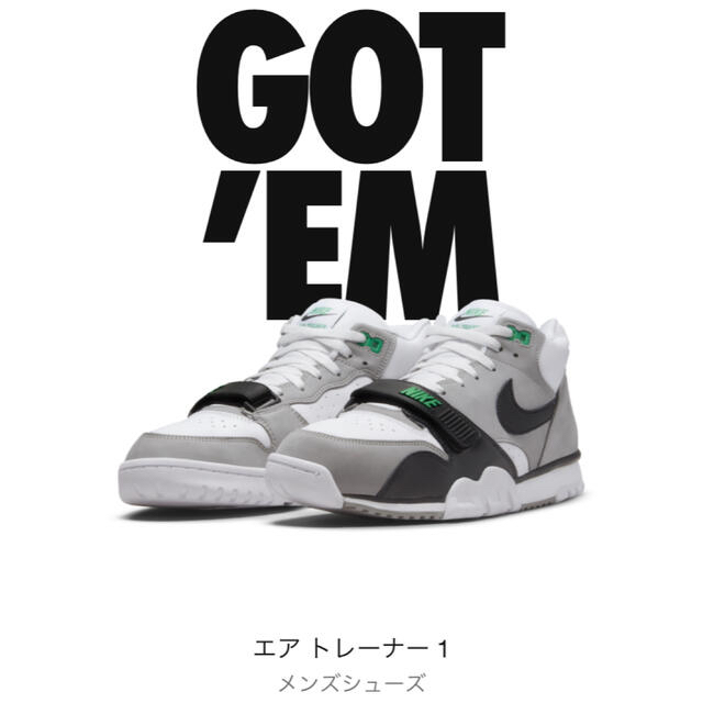 NIKE(ナイキ)のNike Air Trainer 1 Chlorophyll 28.5cm メンズの靴/シューズ(スニーカー)の商品写真