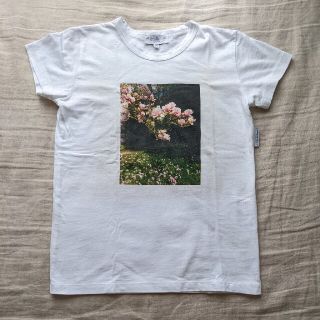 アニエスベー(agnes b.)のアニエスベー　Tシャツ(Tシャツ(半袖/袖なし))