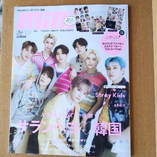 ストレイキッズ(Stray Kids)のmini (ミニ) 2022年 07月号(その他)