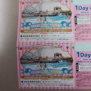 東京サマーランドフリーパス2枚(遊園地/テーマパーク)
