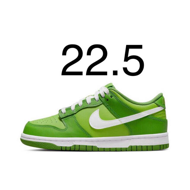 NIKE(ナイキ)のNike GS Dunk Low "Kermit/Chlorophyll"  キッズ/ベビー/マタニティのキッズ靴/シューズ(15cm~)(スニーカー)の商品写真