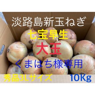 ⭕️秀品3Lサイズ10Kg⭕️淡路島新玉ねぎ　たまねぎ　玉葱(野菜)