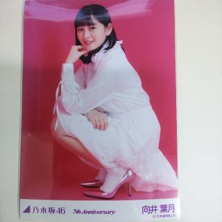 ノギザカフォーティーシックス(乃木坂46)の乃木坂46 生写真向井葉月7th Anniversary レアカット 座り(アイドルグッズ)