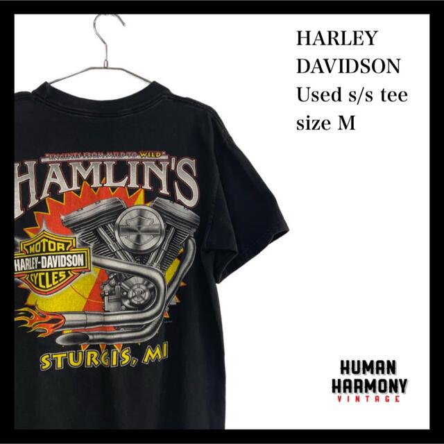 状態ハーレーダビッドソン HARLEYDAVIDSON 半袖Tシャツ