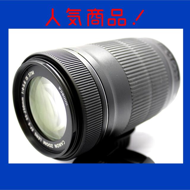 【美品】Canon EF-S 55-250㎜ IS STM⭐️新型望遠レンズ