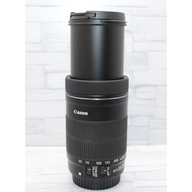美品】Canon EF-S 55-250㎜ IS STM⭐️新型望遠レンズ | bombaytools.com