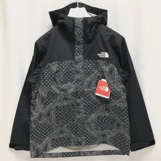 希少！美品！入手困難！】ノースフェイス ドットショット バンダナ柄