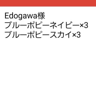 Edogawa様専用(その他)