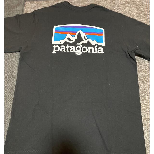 patagonia(パタゴニア)のパタゴニアＴシャツxsサイズ レディースのトップス(Tシャツ(半袖/袖なし))の商品写真