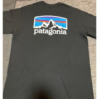 パタゴニア(patagonia)のパタゴニアＴシャツxsサイズ(Tシャツ(半袖/袖なし))