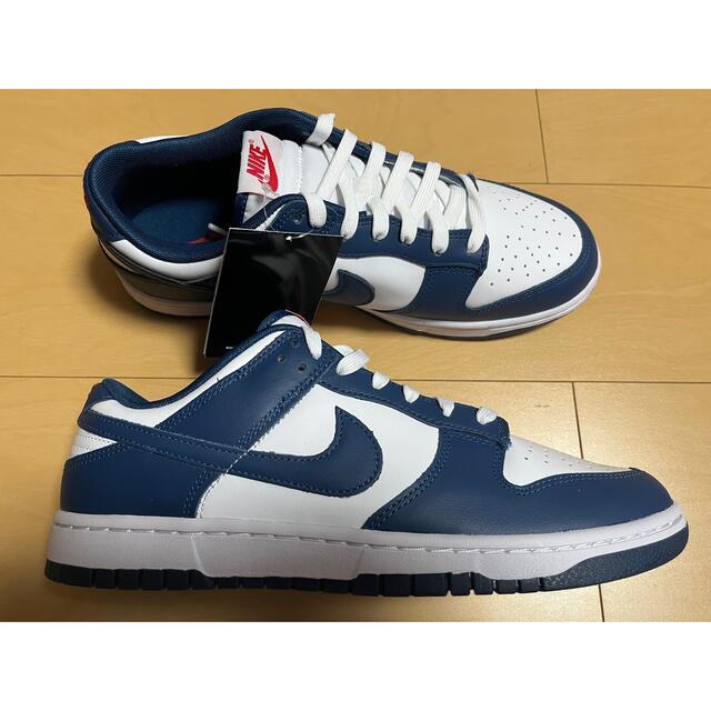 送料込☆29cm☆ナイキ☆ダンク☆ヴァレリアンブルー☆NIKE☆DUNK ...