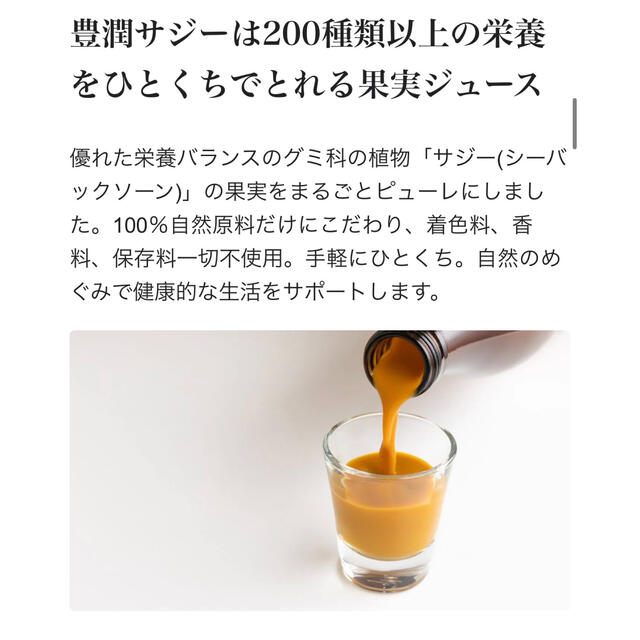 お試し・味見に！　豊潤サジー スティックタイプ　30ml × 3包　フィネス 食品/飲料/酒の健康食品(その他)の商品写真