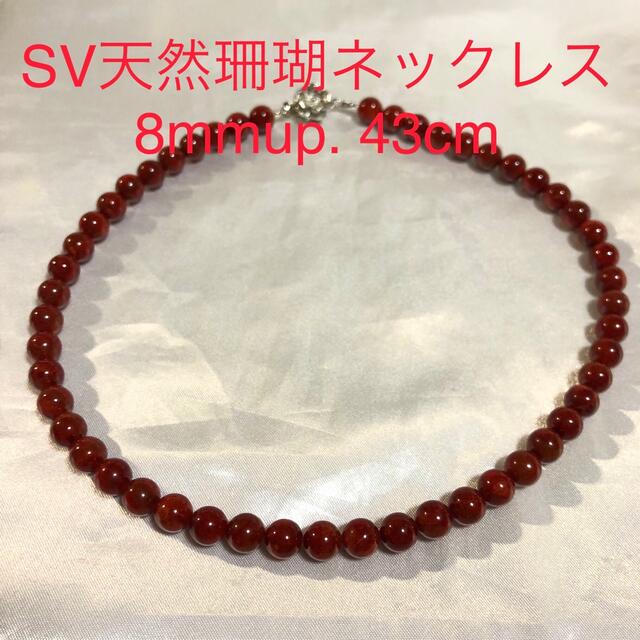 SV天然珊瑚ネックレス　8mmup. 43cm