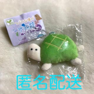 【人気】つぶらな瞳の水族館ぬいぐるみ Dすいそう かめ 1点(ぬいぐるみ)