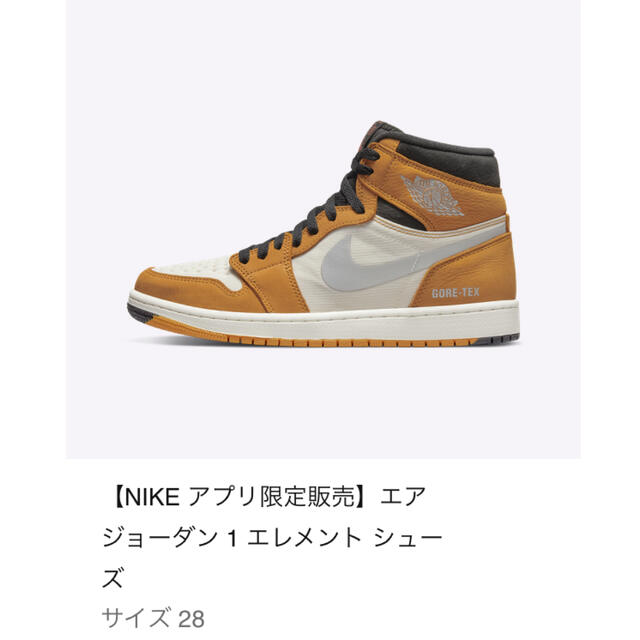 ナイキ　JORDAN 1 GORE TEX 28