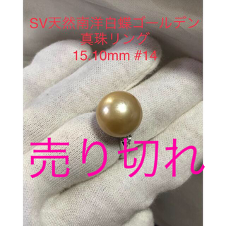SV天然南洋白蝶ゴールデン真珠リング　15.10mm. #14(リング(指輪))