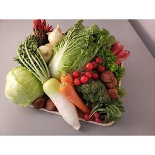京都美山旬の京野菜セット【８０サイズ6〜品目】(野菜)