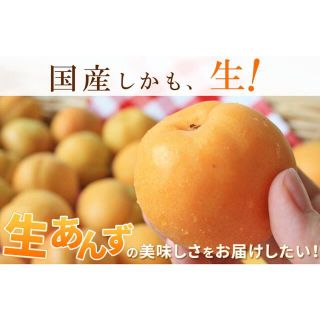 無農薬あんず杏3kg(フルーツ)